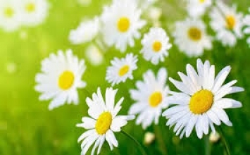 Nghĩ ít đi để sống thoải mái hơn